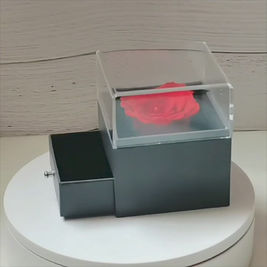 SwissLove™ - Ewige Rose und Halskette Geschenkset - SwissGadget