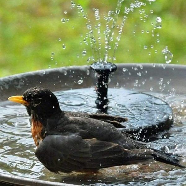 SwissFountain™ - Solar Springbrunnen 16cm - SwissGadget