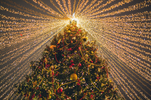 Ein beleuchteter Weihnachtsbaum