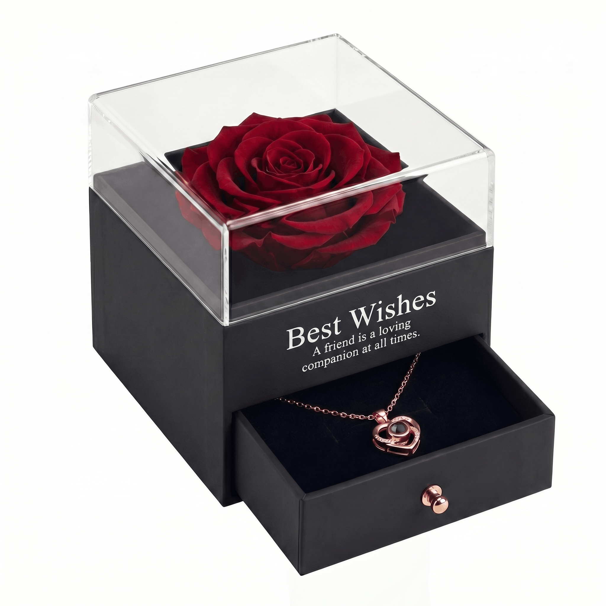 Rêve d’Amour™ L'Éternelle Signature Set mit echter Infinity Rose und Halskette vor weißem Hintergrund.